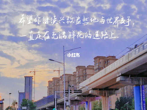 分享你的毕业文案